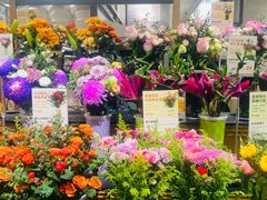 -鹿岛生活(熙地港店)