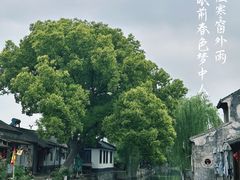 -锦溪古镇