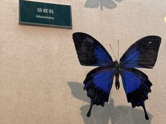 -陕西自然博物馆