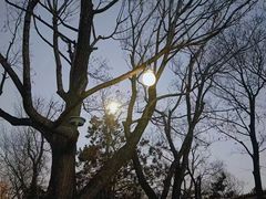 -熙古里艺术村