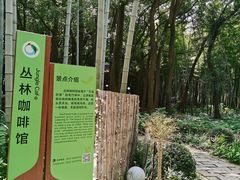 -同里国家湿地公园