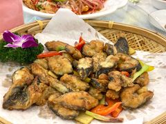 -绿雅居原生态农庄(小涌店)