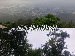 -紫金山山顶公园