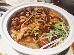 -先机泉水鸡汤(南山老君洞店)