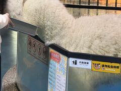 -上海大自然野生昆虫馆(东方明珠·爬宠昆虫探索中心)