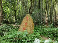 -北仑森林植物园