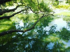 -广西壮族自治区药用植物园
