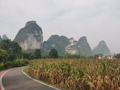 -明仕田园