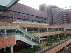 -香港大学