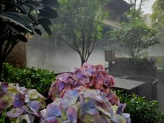 -大妙火锅·非物质文化遗产(东湖公园店)