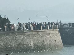 -黑石礁公园