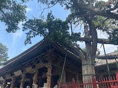 -晋祠公园