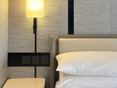 -新加坡乌节希尔顿酒店 (SG Clean)