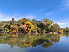 -北京大学