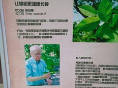 -石家庄市植物园