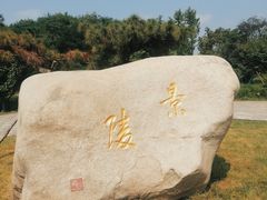 -洛阳古墓博物馆