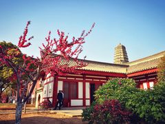 -法门文化景区