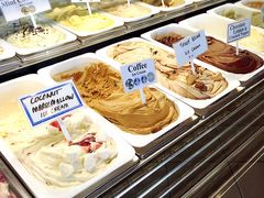 -Dooley's Premium Ice Cream