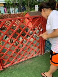 -萌宠亲子动物乐园(槐房万达店)