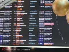 -谢列梅捷沃国际机场