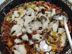 -金三可市井水煮鱼(金碧园店)