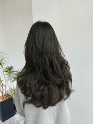 -FINE HAIR 烫染专业设计