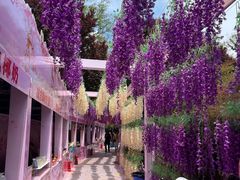 -西安青龙寺遗址景区