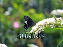 -苏州河梦清园环保主题公园