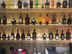 -渼树MSUTREE连锁沙龙