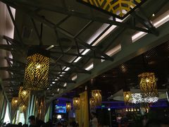 大堂-润园四季椰子鸡火锅(海上世界店)