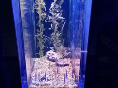 -波塞冬旅游度假区