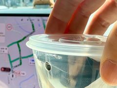 -酷以爬仙阁实体爬宠店·守宫·蜥蜴·专业繁育