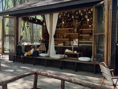 -长白岛森林公园