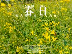 -光明小镇欢乐田园