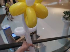 -深圳龙华星河COCO City(民治店)