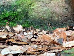 -花溪公园