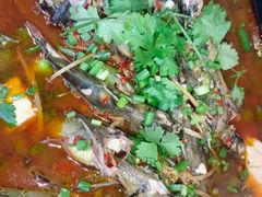 -院8里·少城记忆老川菜(宽窄巷子店)