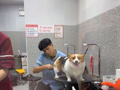 -宠物家(角门东店)