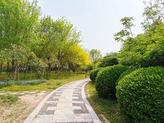 -东疆建设开发纪念公园