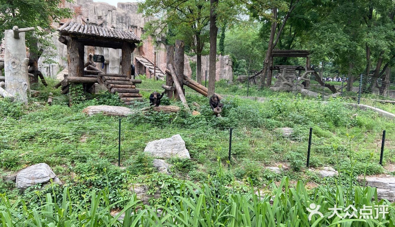 园子里禁止投喂 总有执勤人员盯着乱投喂