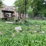 园子里禁止投喂 总有执勤人员盯着乱投喂