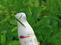 -海口喜来登酒店