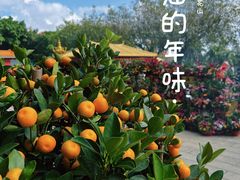 -广州莲花山旅游区