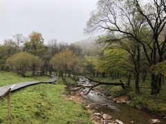 -大水川景区
