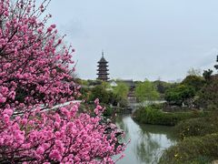 -盘门景区