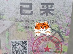 -香雪海