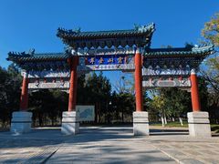 -云岗森林公园
