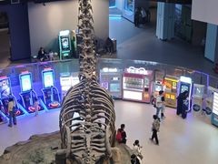 -辽宁古生物博物馆