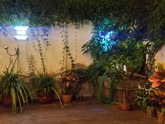 android_upload_pic-鼓浪屿牌馅饼(博物馆店)