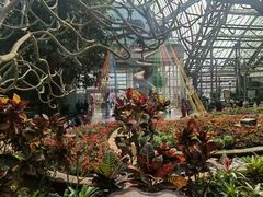 -南山植物园
